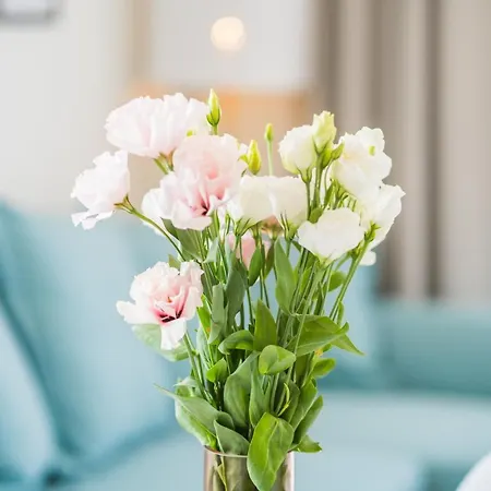 Myflat Golden Coast Panorama * シオーフォク